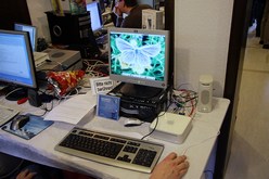 MorphOS Mac Mini